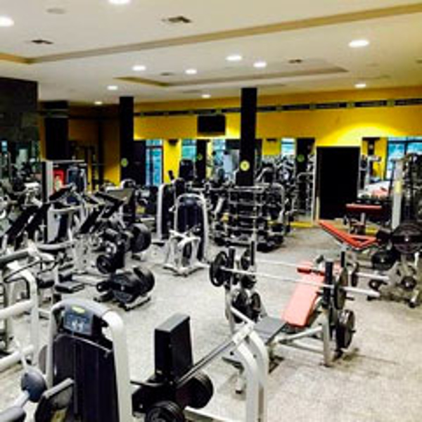 Franquicia Golds Gym